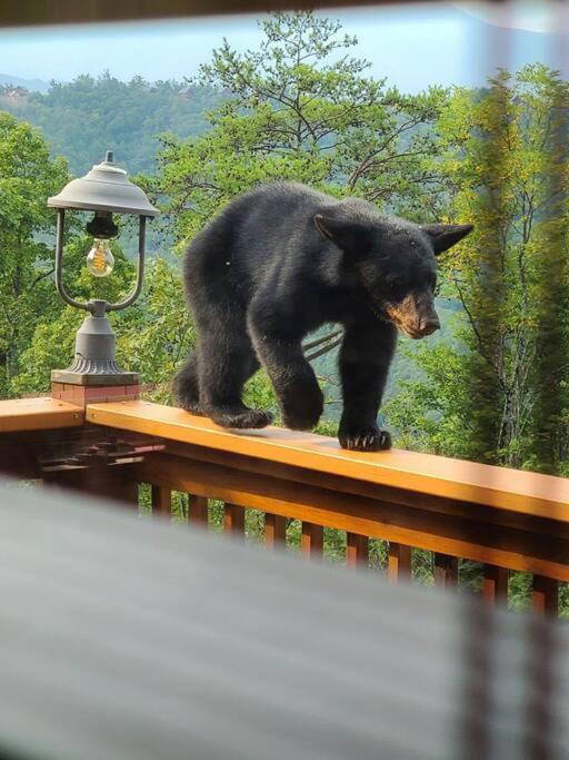 Vila Yogi'S Den: Breathtaking Views! 3 Min To Dollywood, On 1 Acre! Sevierville Exteriér fotografie